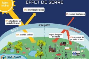 quelles sont les consequences de leffet de serre